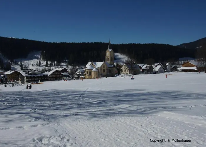 Haus Tritscher-gruber